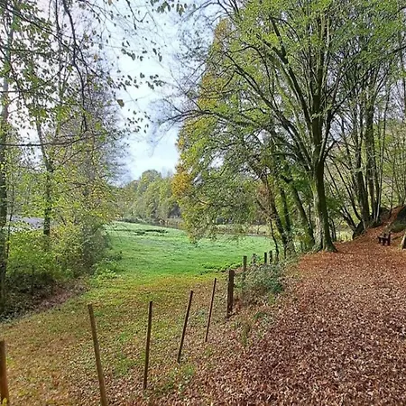 Family Near Forest, Cleaning Included