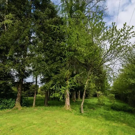 Holiday home Family Near Forest, Cleaning Included *