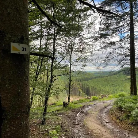 Family Near Forest, Cleaning Included Holiday home