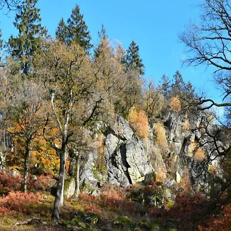 Family Near Forest, Cleaning Included * Les Bulles